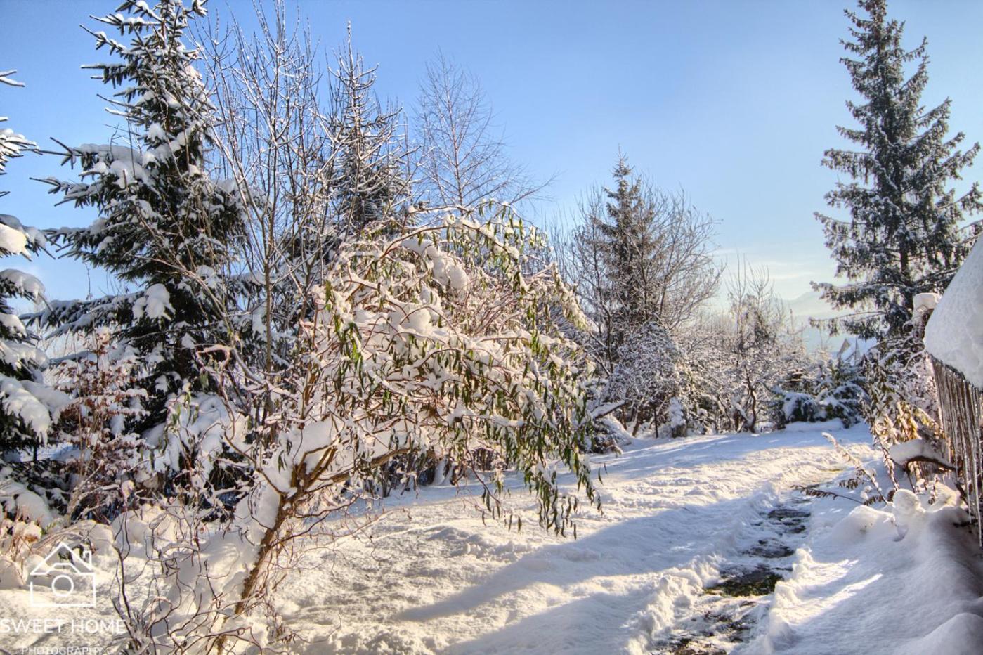 Oaza Tatry III Βίλα Ζακοπάνε Εξωτερικό φωτογραφία